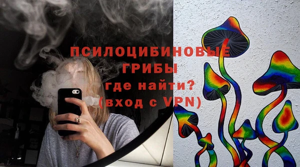 твердый Зеленодольск