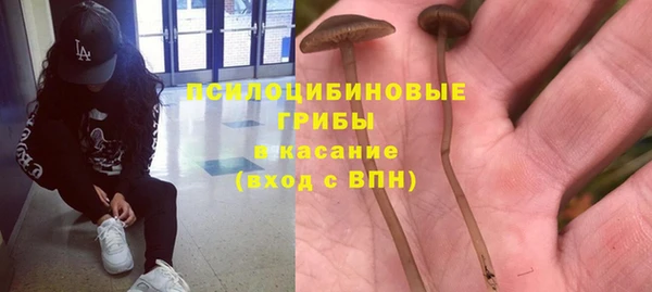 2c-b Осинники