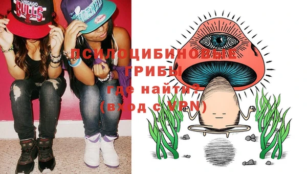 тгк Алексин