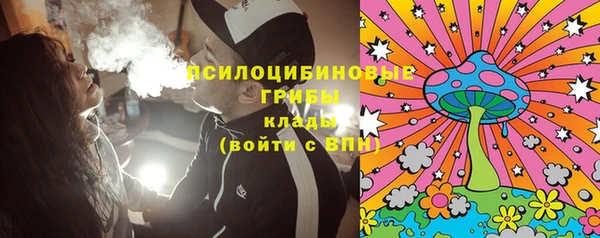 2c-b Осинники