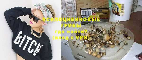 молекула духа Алексеевка