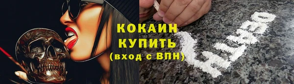 молекула духа Алексеевка