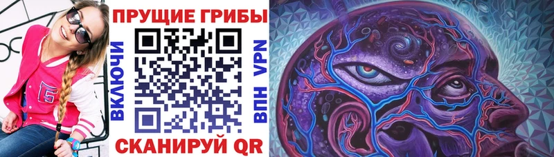 Псилоцибиновые грибы Magic Shrooms Невинномысск